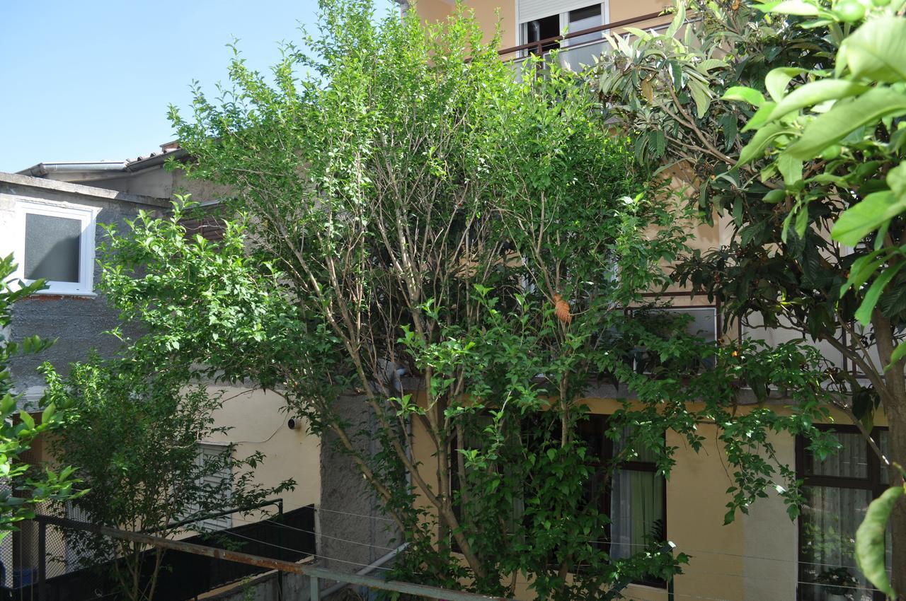 Apartma Ljubica *